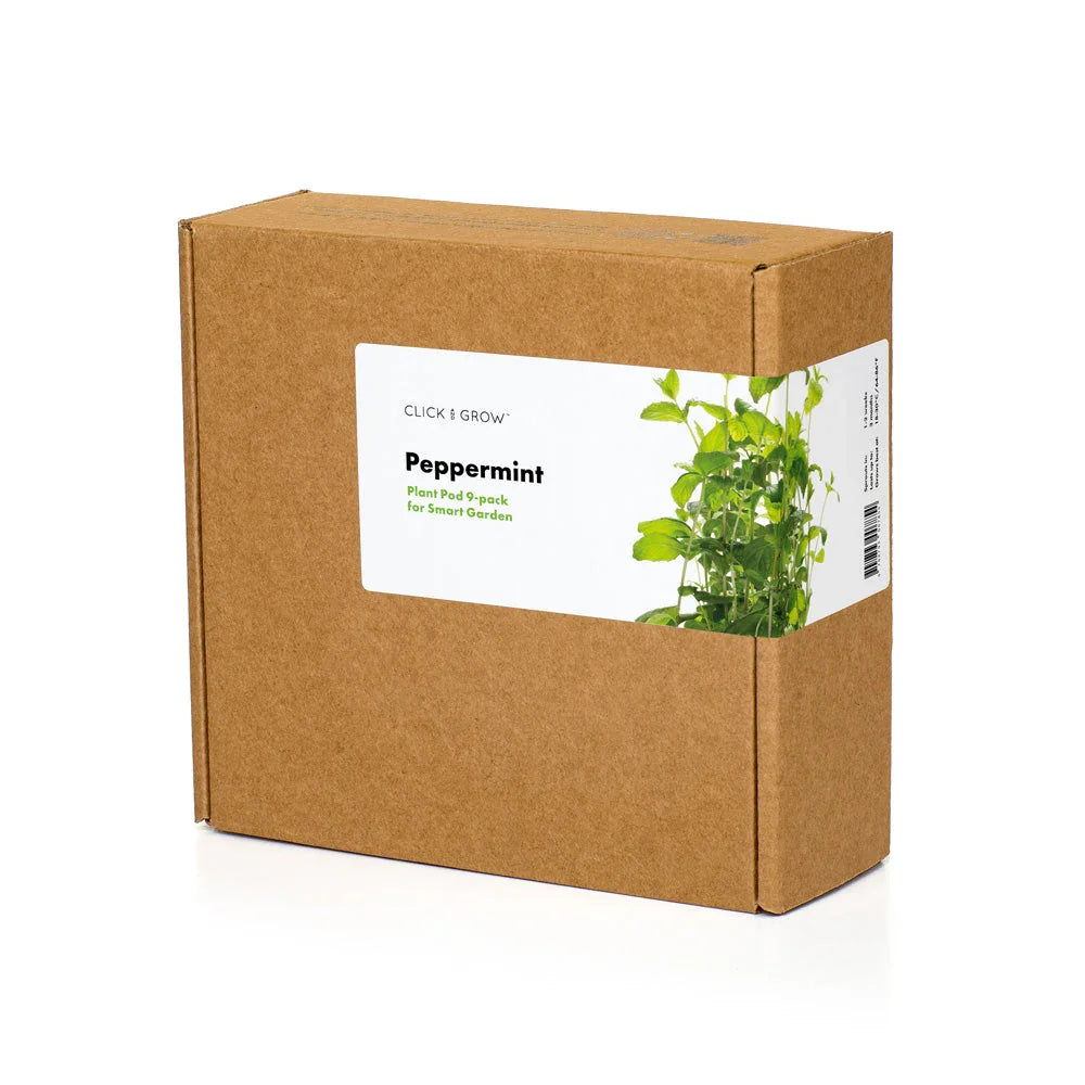 Pflanzkapsel-Nachfüllpack Pfefferminze im Karton, 3-er Packung