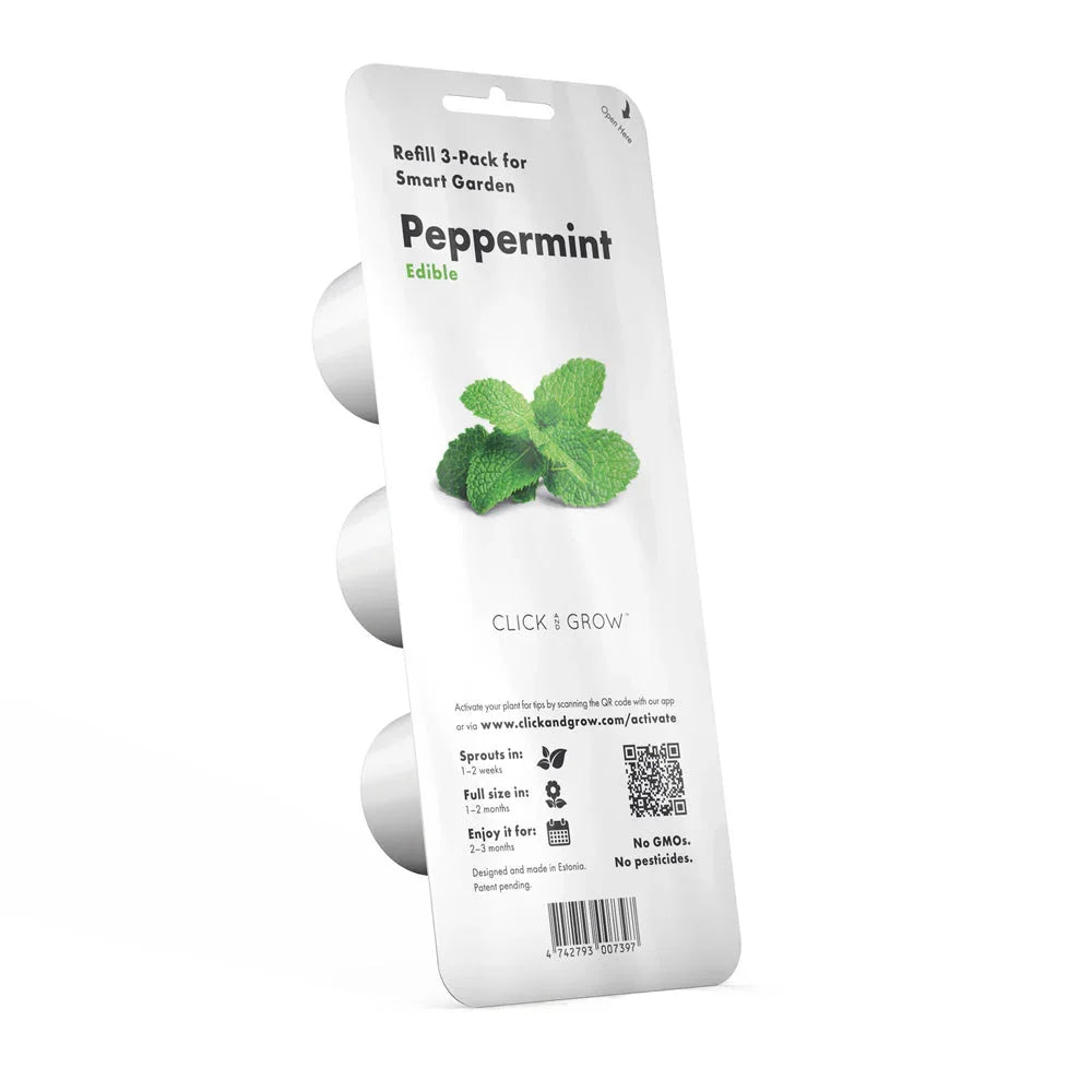 Pflanzkapsel-Nachfüllpack Pfefferminze, 3-er Packung