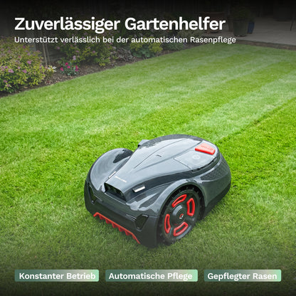 Mähroboter H3+ grau-schwarz mit rotem Stoßschutz und transparentem Frontdeckel
